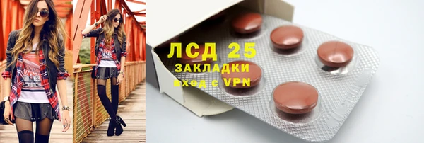 дживик Костерёво