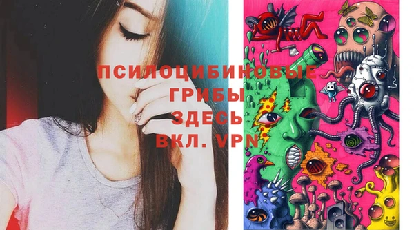 прущая мука Каменногорск