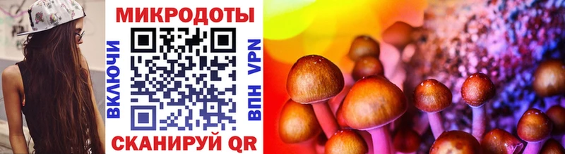Купить закладки Карачаевск Галлюциногенные грибы прущие грибы